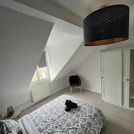 T3 Renove 60m2 Proche Centre Colmar