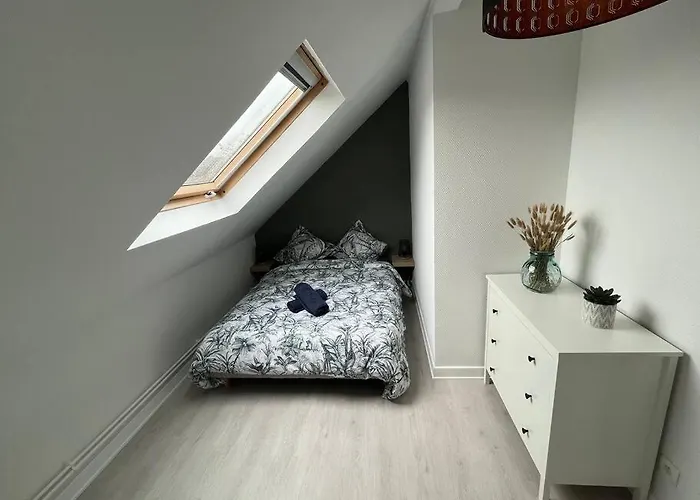 T3 Renove 60m2 Proche Centre