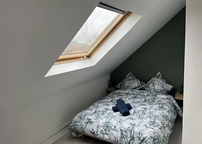 Διαμέρισμα T3 Renove 60m2 Proche Centre Κολμάρ