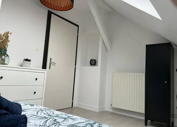 Apartment T3 Renove 60m2 Proche Centre Colmar