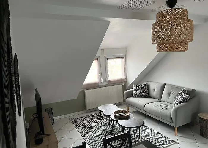 T3 Renove 60m2 Proche Centre Colmar