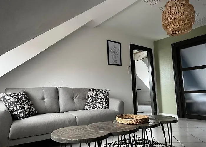 T3 Renove 60m2 Proche Centre Apartment Colmar