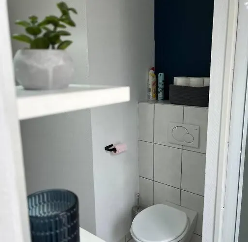 T3 Renove 60m2 Proche Centre Apartment